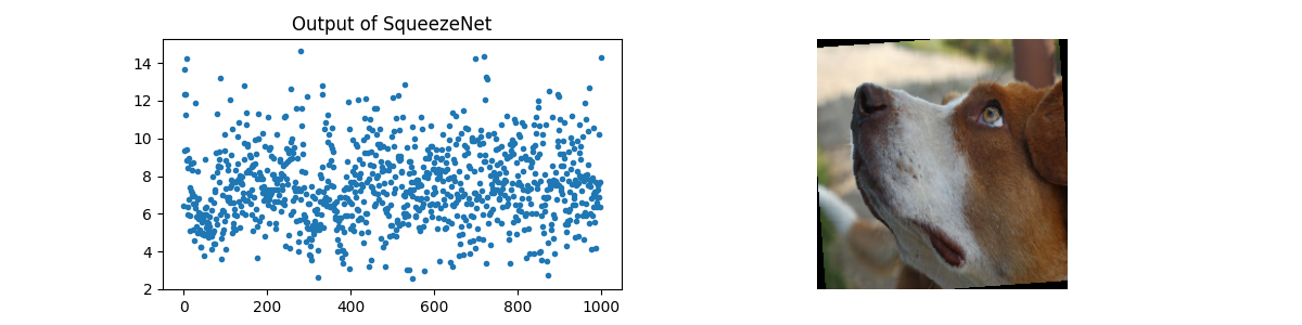 Output of SqueezeNet