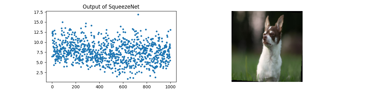 Output of SqueezeNet