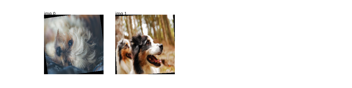 plot search images torch