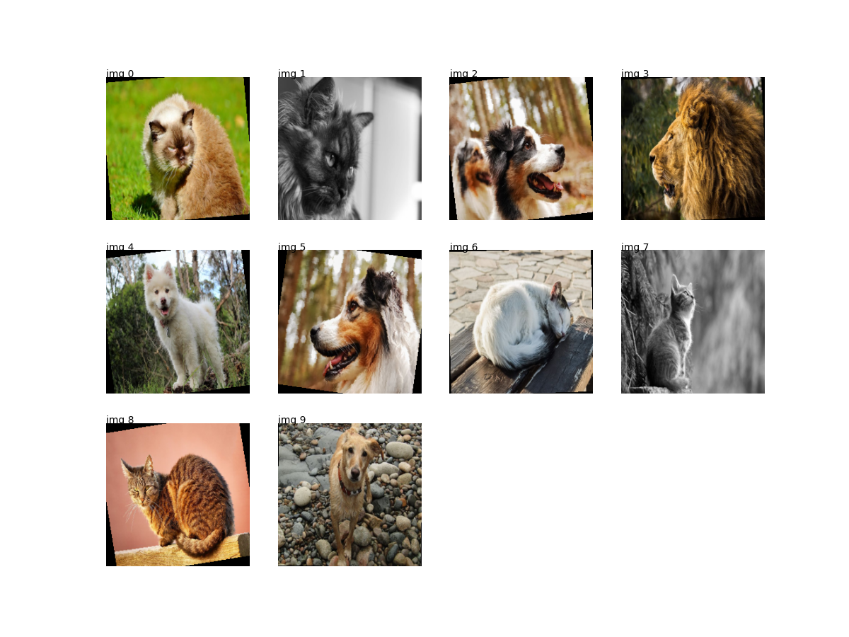 plot search images torch