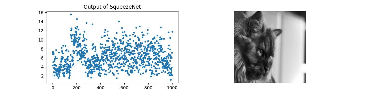 Output of SqueezeNet