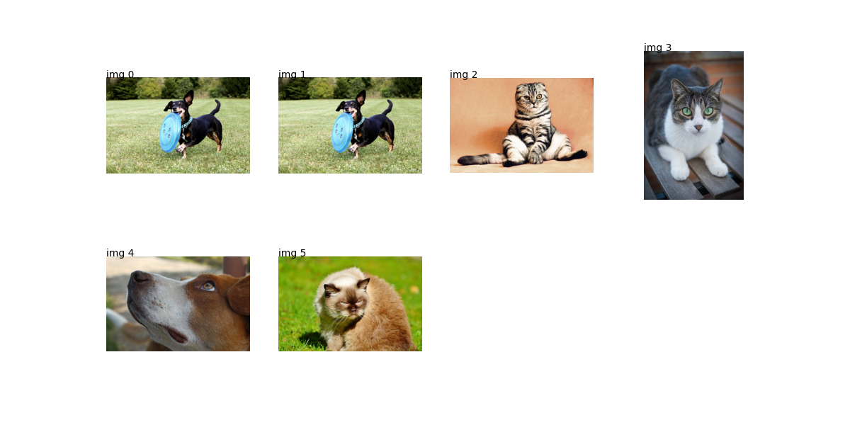 plot search images torch