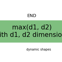 plot dynamic shapes max